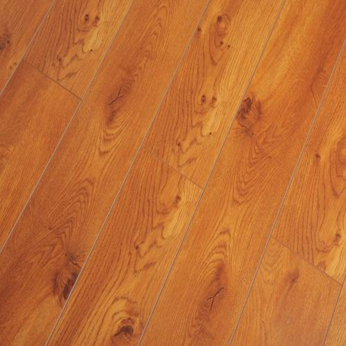 12mm Matt Smooth Laminate Flooring (TF1108 Toucan Forest Product)